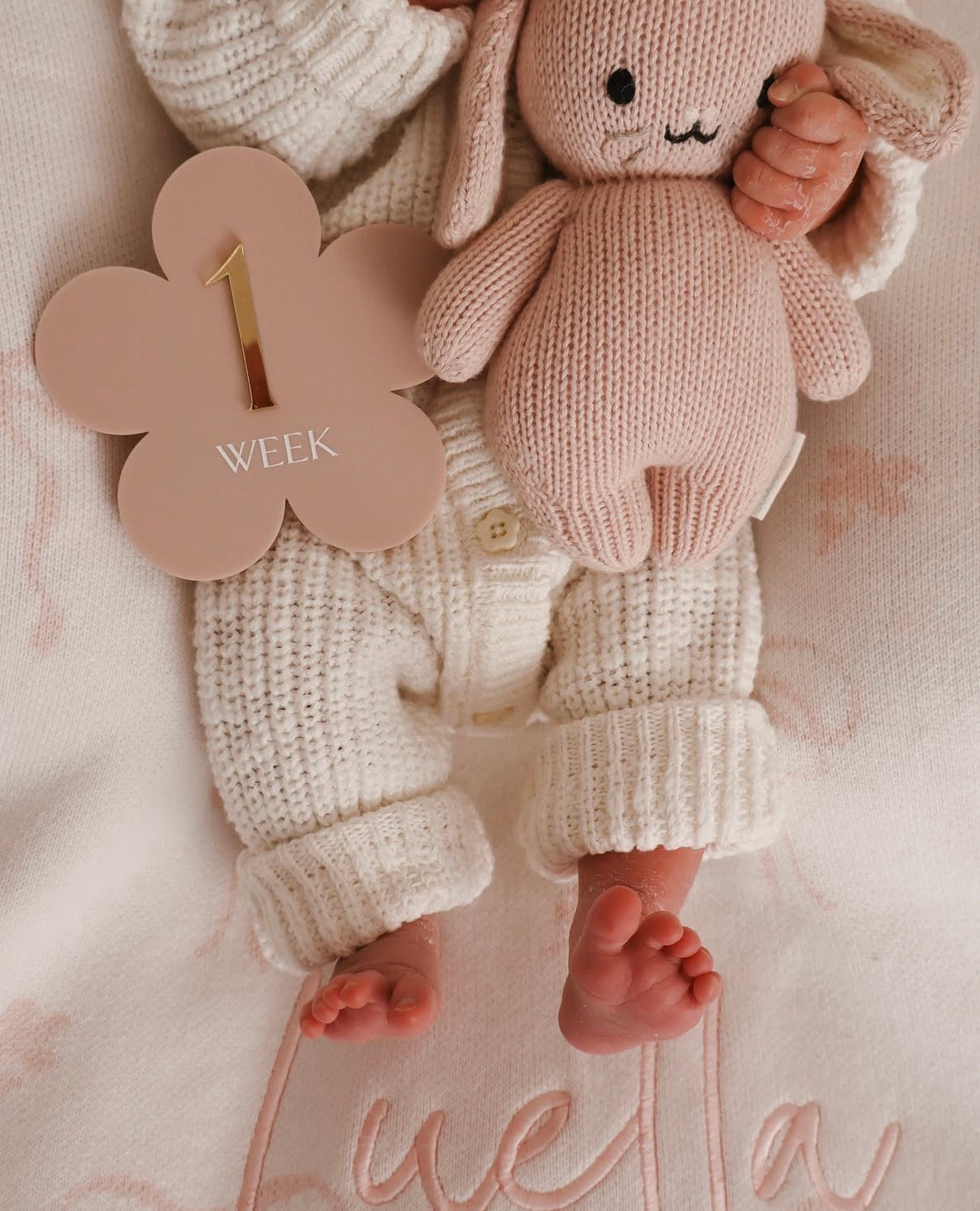 Blossom Baby Milestone Set