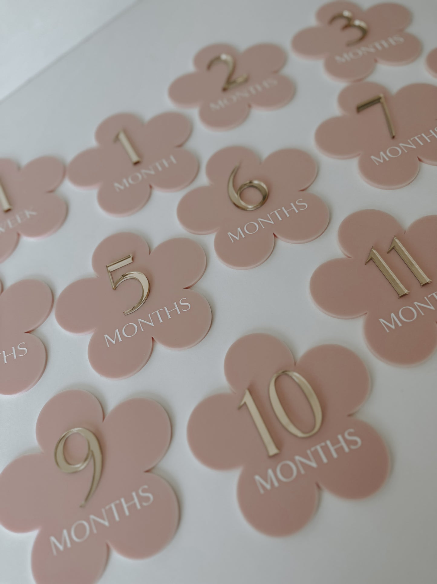 Blossom Baby Milestone Set