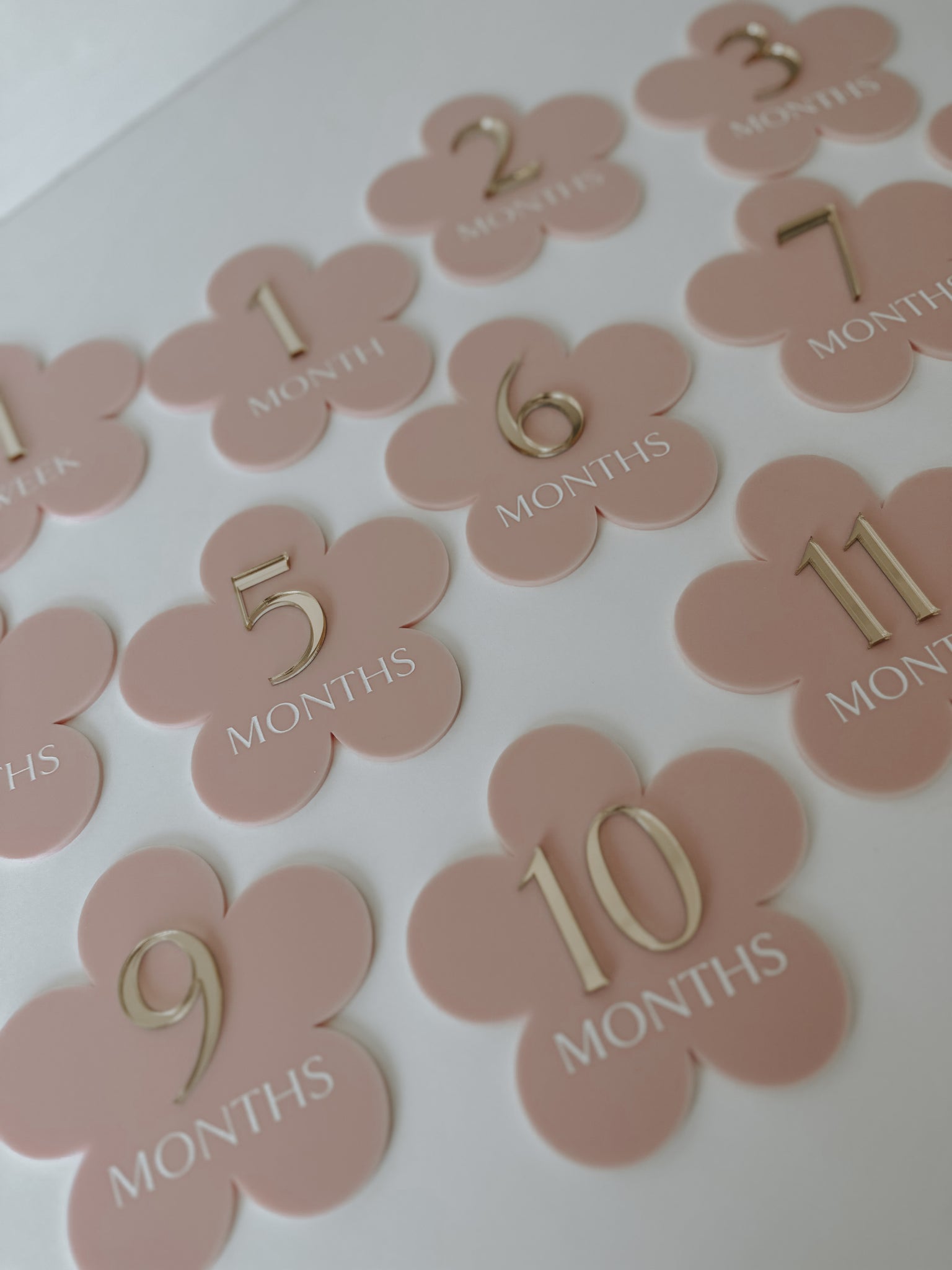 Blossom Baby Milestone Set