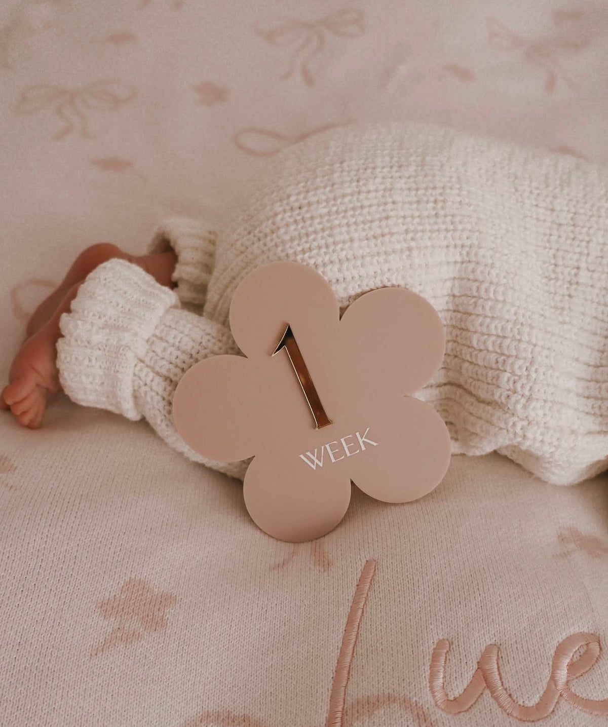 Blossom Baby Milestone Set