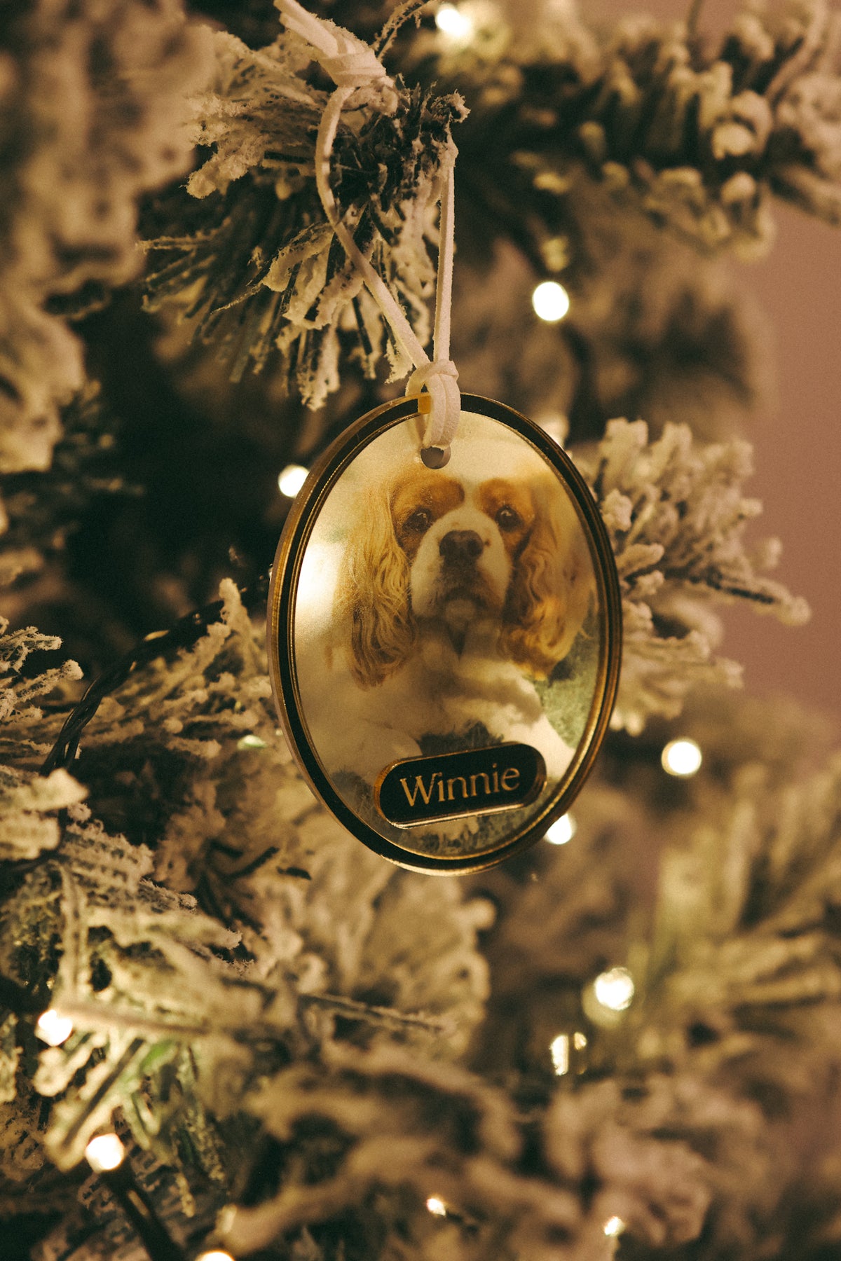 Christmas: Christmas Photo Ornament