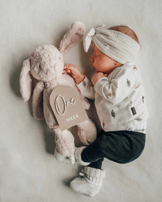 Baby Milestone Set