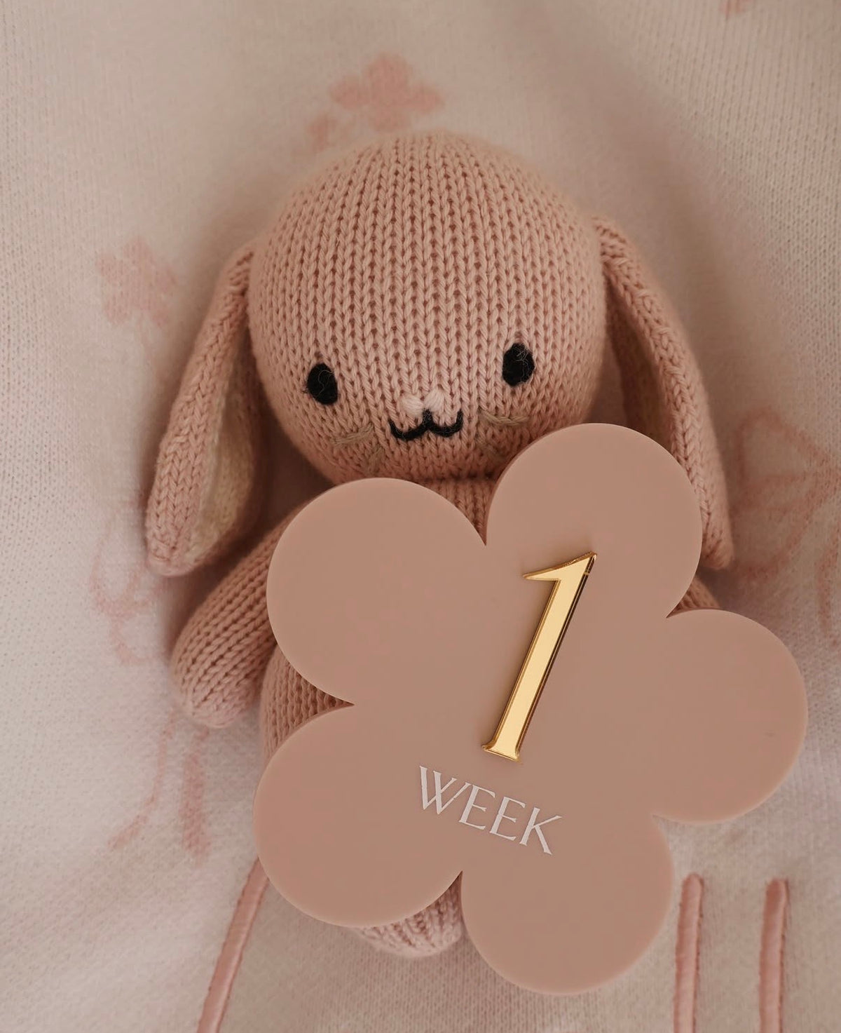 Blossom Baby Milestone Set