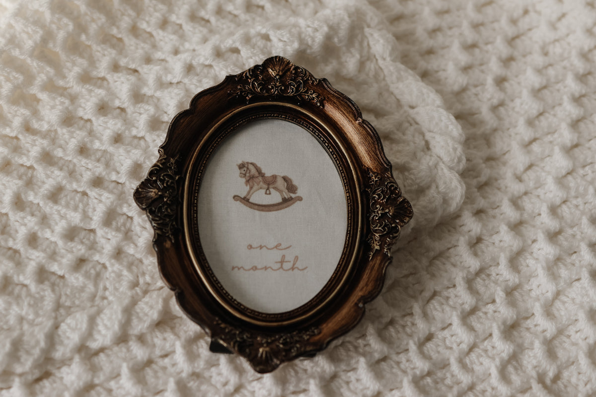 Little Wonders Vintage Framed Baby Milestone Set