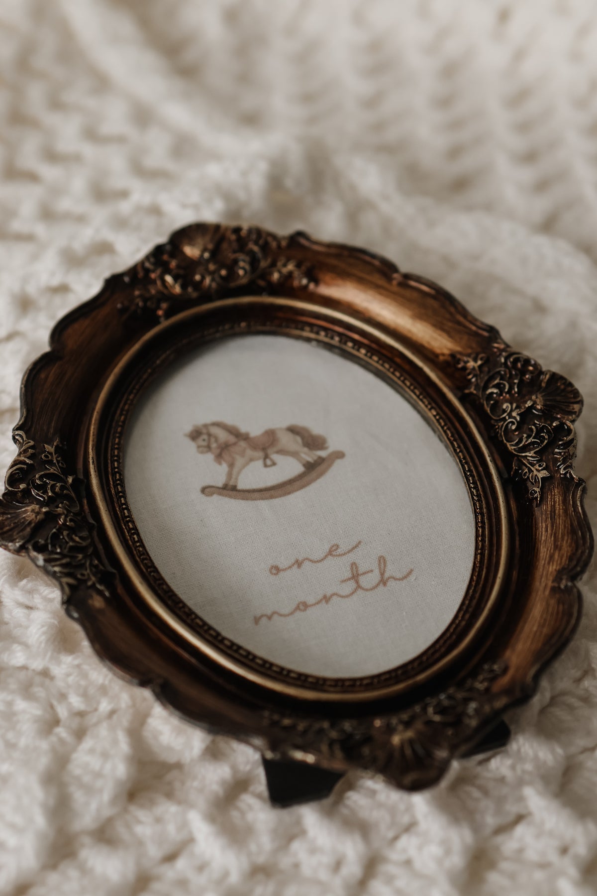 Little Wonders Vintage Framed Baby Milestone Set