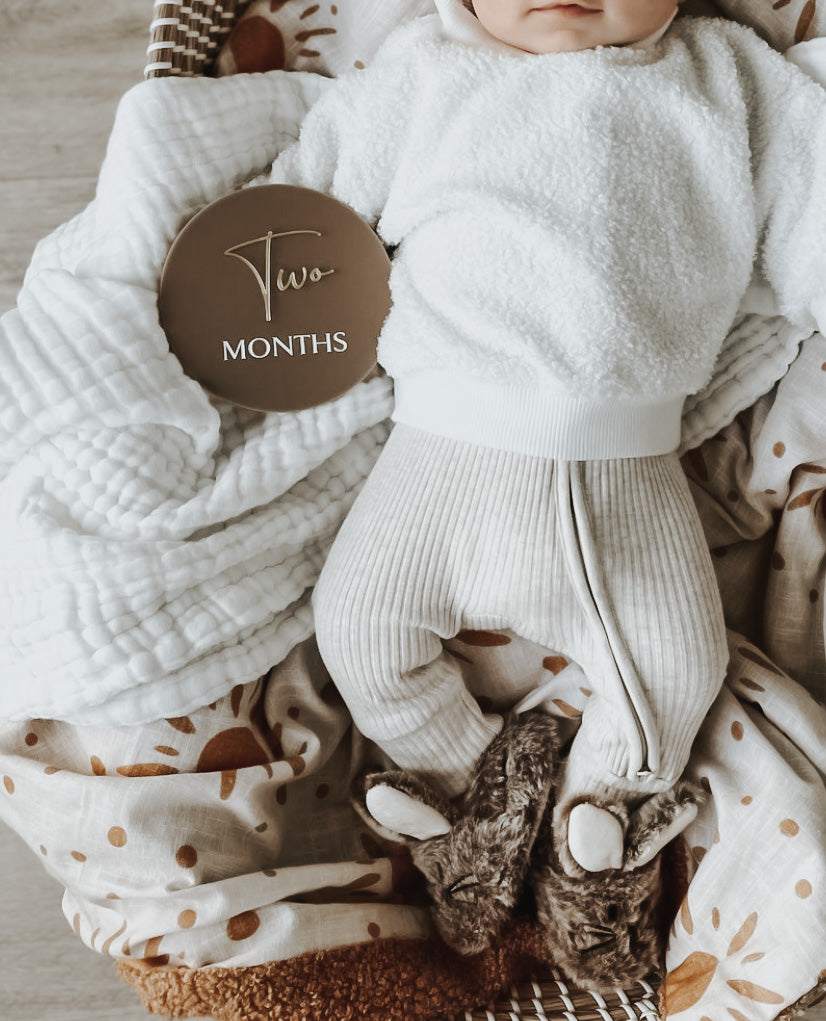 Baby Milestone Set