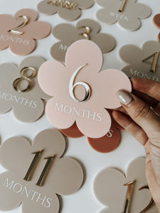 Blossom Baby Milestone Set